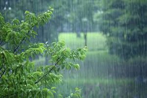 کاهش ۲۵ درصدی بارندگی‌ها سالجاری