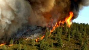 آتش سوزی های گسترده در اقسا نقاط کشور