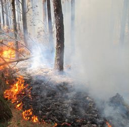 لزوم تجهیز روستاهای حاشیه پارک ملی گلستان به تجهیزات آتش نشانی