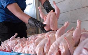 تولیدهزارو۶۰۸تن مرغ برای ماه رمضان درخراسان شمالی