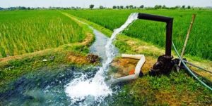 ۴۰ درصد کاهش مصرف آب بخش کشاورزی آذربایجان‌غربی