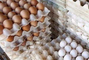 حلقه گمشده درتوزیع تخم مرغ