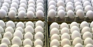 فروش تخم مرغ شانه ای در ارومیه تخلف صنفی محسوب می شود