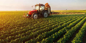رشد۳۳۸درصدسرمایه‌گذاری درصنایع کشاورزی