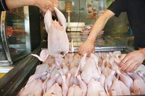 توزیع۴۰تن گوشت مرغ
