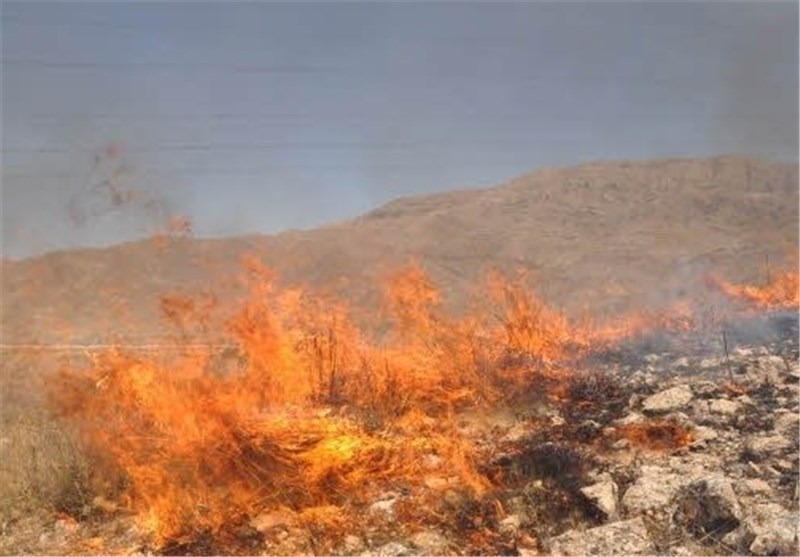 افزایش۸برابری آتش سوزی عرصه های طبیعی