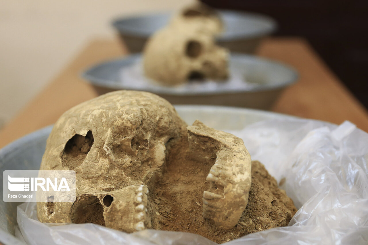 سرنوشت نامعلوم درپیچ‌وخم‌ اداری استخوان‌های باستانی تخت‌جمشید