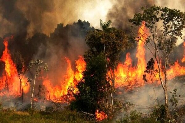 توسکستان در آتش