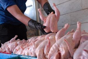 ازخروج گوشت مرغ مسوولان جلوگیری کنند