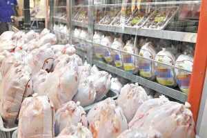 تعادل قیمت گوشت مرغ دربازار