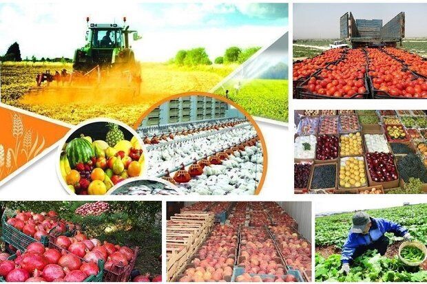 صادرات ۱۳۶ میلیون دلاری کالاهای کشاورزی از گمرکات آذربایجان‌شرقی