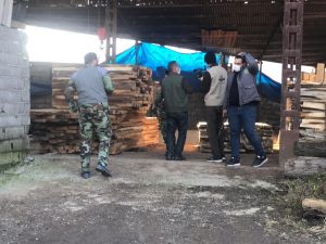 مقابله شدید با قاچاق چوب جنگلی در مازندران
