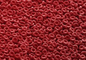 چطور تعداد گلبول های قرمز خون را افزایش دهیم؟