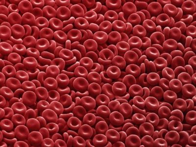 چطور تعداد گلبول های قرمز خون را افزایش دهیم؟