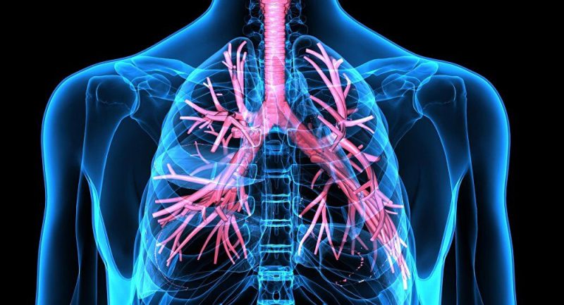 ریه ها مسئول توزیع اکسیژن مورد نیاز در بدن هستند ضمن این که منوکسید کربن را از بدن خارج می کنند. عملکرد موثر ریه ها، از ابتلا به بسیاری از بیماری ها جلوگیری می کند. ریه ها مسئول فیلتر کردن سموم از بدن هستند.