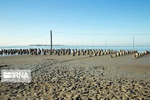 بااحیای خلیج گرگان ازآسیب‌ زیست محیطی جلوگیری می شود