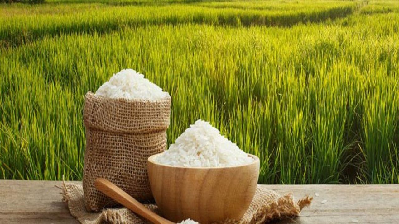 قیمت برنج قد کشید