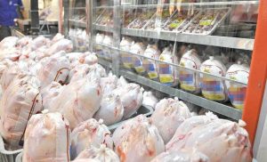تولیدروزانه۲۰۰تن گوشت مرغ در قزوین