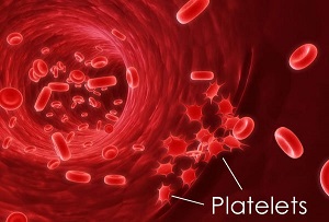 افزایش پلاکت‌های خون به صورت طبیعی؟
