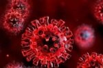 بروز علائم ویروس هندی و انتقال آن در چند ساعت رخ می‌دهد