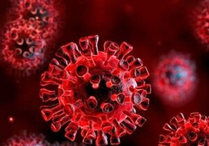 بروز علائم ویروس هندی و انتقال آن در چند ساعت رخ می‌دهد