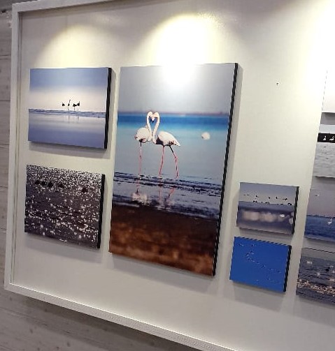 نمایشگاه عکس خلیج گرگان