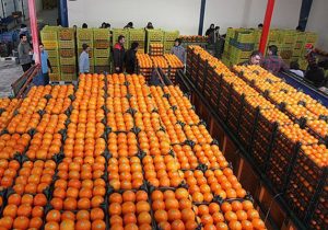 توزیع ۲۰۰ تن میوه شب عید، آغاز طرح کالابرگ الکترونیکی، افزایش خرید گندم و توزیع گوشت قرمز