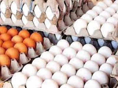 افزایش قیمت تخم مرغ در بازار خراسان شمالی