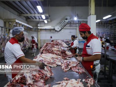 تامین ۲۵ درصد گوشت کشور در خراسان شمالی