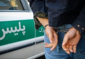 دستگیری سارقان کابل های مخابراتی میلیاردی در اسفراین