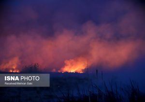 کمبود نیروی تخصصی از مشکلات مهار آتش سوزی در جنگل های خراسان شمالی