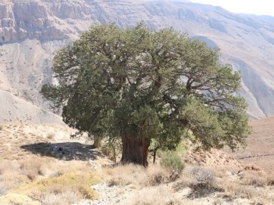 ابلاغ ثبت ملی ۲ اثر میراث طبیعی در خراسان شمالی