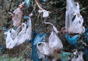 بازیافت نشدن کیسه های پلاستیکی و مشکلات زیست محیطی در خراسان شمالی