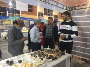 حضور صنعتگران خراسان شمالی در ششمین نمایشگاه سراسری صنایع‌دستی خراسان جنوبی