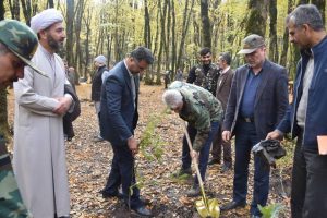 کشت ۲۰۰ اصله نهال در پارک جنگلی النگدره