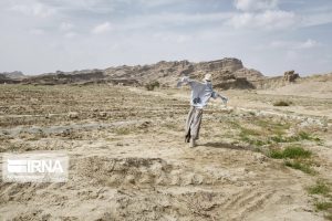 مانع رشد گیاه در ۷۰ هزار هکتار اراضی گلستان  کم آبی است