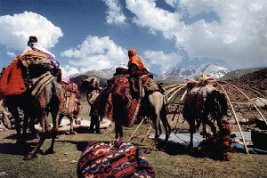 با ۴۵ روز تاخیرعشایر خراسان شمالی وارد ییلاقات شدند