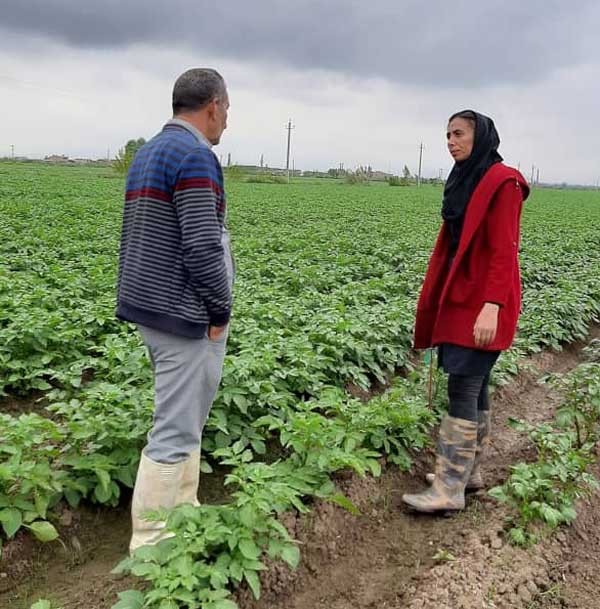 اولین سامانه ملی دیجیتال آموزش کشاورزی کشور راه اندازی شد