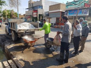 شروع مبارزه با حشرات و جوندگان موذی در گنبدکاووس