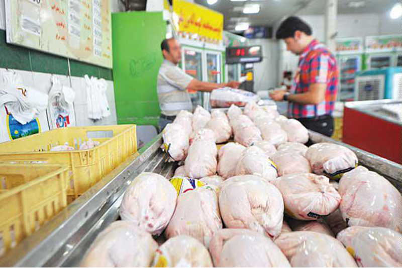 تعادل قیمت گوشت مرغ دربازار
