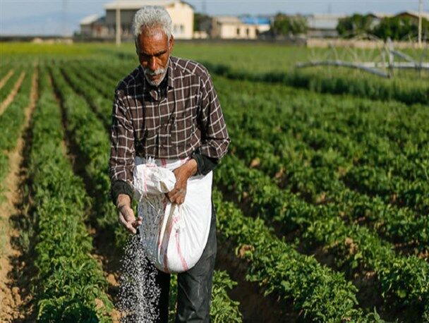 توزیع ۴۱۲۸ تن کودشیمیایی بین کشاورزان چهارمحال و بختیاری