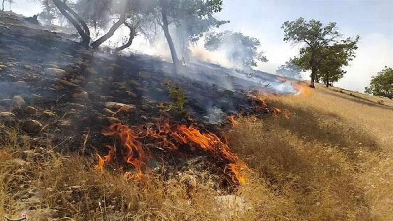 آتش جان۲.۵هکتاراز کوه آبیدر کردستان راگرفت