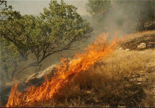 ادامه تلاش برای مهارآتش جنگل‌ هیرکانی گلستان