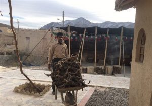 پیشتازی درپوشش بیمه روستایی