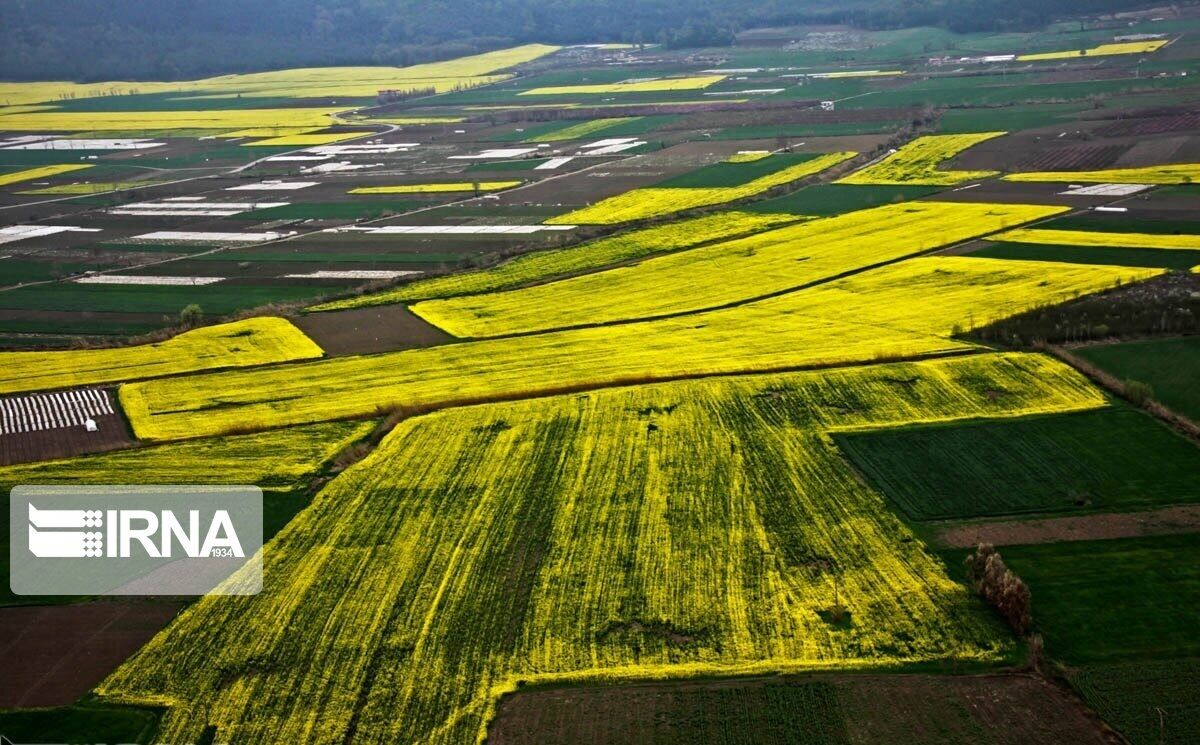 ایجاد هاب لجستیک کشاورزی در استان قزوین