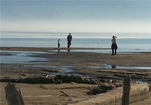 خلیج گرگان چشم انتظار معجزه/ تکرار قصه پر غصه لایروبی