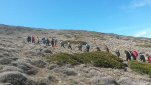 صعودبه ارتفاع ازنوع کرونادرگلستان