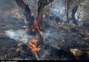 تندبادشدید، مهارآتش پارک ملی گلستان رامشکل کرده