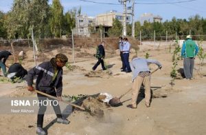 افتتاح اولین باغ میوه‌های گرمسیری کشوردرقشم