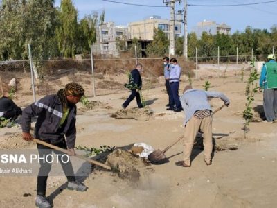 افتتاح اولین باغ میوه‌های گرمسیری کشوردرقشم